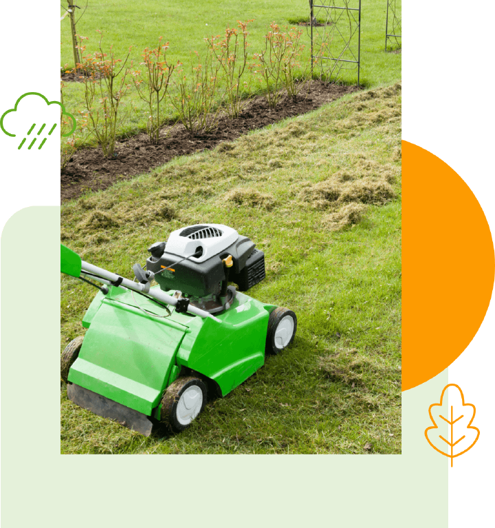 rasenpflege herbst duengen vertikutieren